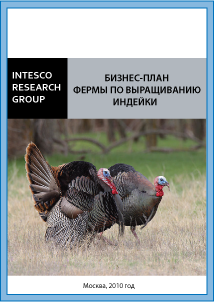 Бизнес-план фермы по выращиванию индейки