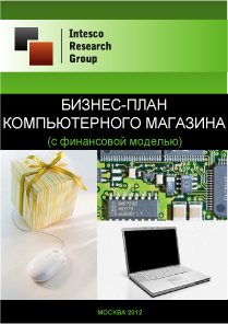 Бизнес-план компьютерного магазина (с финансовой моделью)