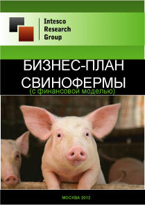 Бизнес-план свинофермы (с финансовой моделью)