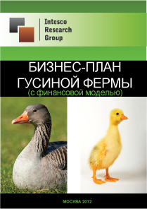 Бизнес-план гусиной фермы (с финансовой моделью)