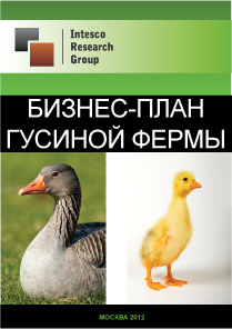 Бизнес-план гусиной фермы