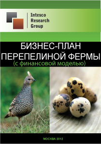 Бизнес-план перепелиной фермы (с финансовой моделью)