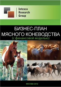 Бизнес-план мясного коневодства (с финансовой моделью)