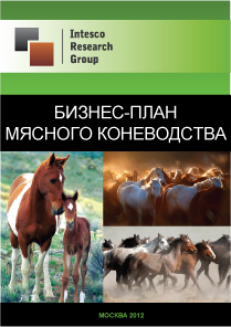 Бизнес-план мясного коневодства