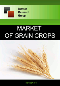 Market of Grain Crops. Current Situation and Forecast