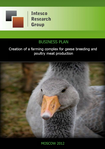 Creation of a farming complex for geese breeding and poultry meat production in the village of Teryaevka, Neverkinsky district, Penza Region