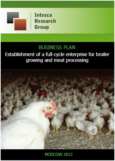 Establishment of a full-cycle enterprise for broiler growing and meat processing with building a logistic chain up to the wholesale trade link