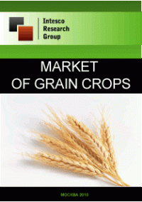 Market of Grain Crops. Current Situation and Forecast