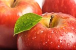 В 2013 году Польша стала лидером по мировому экспорту яблок