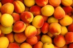 Объем российского импорта персиков сократился на 13%