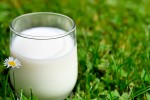 В 2014 г. предприятия молочной отрасли значительно увеличили свою выручку