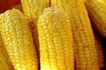 На мировом рынке кукурузы безусловным лидером остается США
