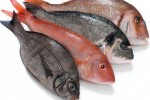 Рынок полуфабрикатов из рыбы и морепродуктов. Поднимаясь из глубин морских